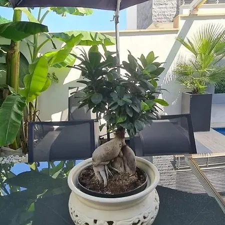 Ultra Lux Rezidans Isitmali Ozel Havuzlu * Çeşme